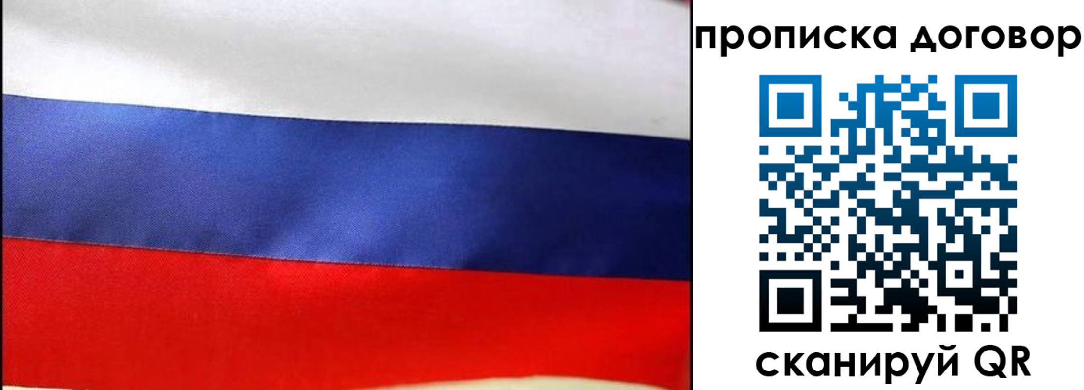 прописка гарантия в Ворсме